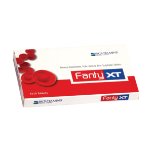 FANTY-XT