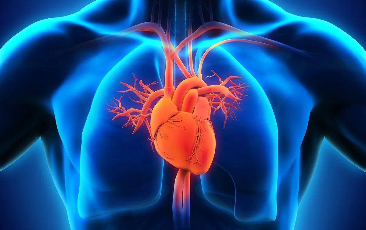 cardiovascular-disease-research-featuredimage