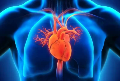 cardiovascular-disease-research-featuredimage